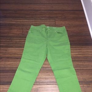 Women’s Crown and Ivy Pants- Green